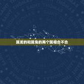 属龙的和属兔的两个属相合不合，属龙和属兔能不能相配