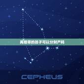 再婚带的孩子可以分财产吗，再婚家庭小孩财产分割