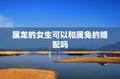属龙的女生可以和属兔的婚配吗，属兔和属龙相配吗