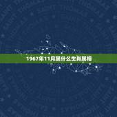 1967年11月属什么生肖属相，1967年出生属什么生肖