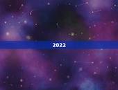 2022 年金牛宝宝男孩缺木，木字旁的男孩名字洋气