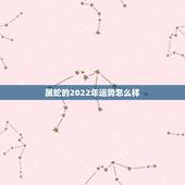 属蛇的2022年运势怎么样，1989属蛇人在2022年运气