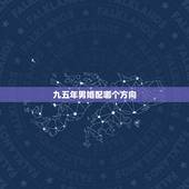 九五年男婚配哪个方向，九五年的猪和什么属相最相陪