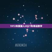 1972年属鼠人2021年幸运数字，72属鼠终身幸运数字