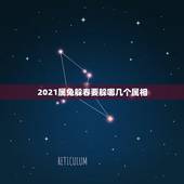 2021属兔躲春要躲哪几个属相，2021犯太岁生肖属相