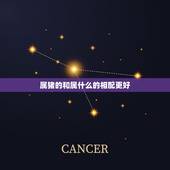 属猪的和属什么的相配更好，属猪与什么属相相配