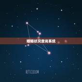 婚姻状况查询系统，个人婚姻信息查询系统