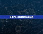 属牛的2022年每月运势运程，属牛的2022年每月财运