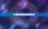 夫妻都是属鼠婚姻怎样，属鼠女人的感情和婚姻