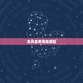 生肖龙男更佳婚配，生肖龙和什么生肖最配