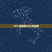 1971年猪男2022年运势，2022属猪人的全年运势如何