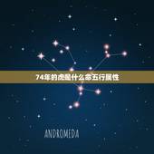 74年的虎是什么命五行属性 74年的虎是什么命五行属性