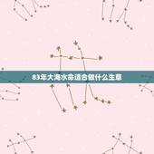 83年大海水命适合做什么生意，我是83年大海水命，问老师我想从事五行属