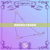 属猪的男孩子最佳属相，属猪的和什么属相好