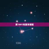 男1991年属羊婚配，1991年属羊最佳婚配