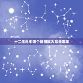 十二生肖中哪个属相属火命是哪年，十二生肖出生年份分别是哪一年