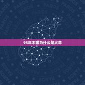 95年木猪为什么是火命，1995年是火猪还是木猪