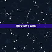 属蛇交运忌什么属相，1971年属猪忌讳什么属相