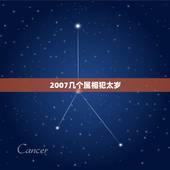 2007几个属相犯太岁，2006年有哪些生肖犯太岁啊？
