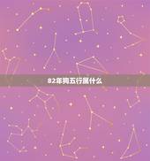 82年狗五行属什么，1982年属狗是什么命