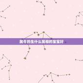 属牛的生什么属相的宝宝好，爸爸属牛妈妈属虎生什么属相宝宝好