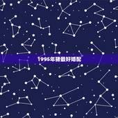 1995年猪最好婚配，1995年属猪和什么属相最好