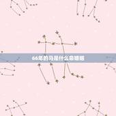 66年的马是什么命婚姻，1966年，属马的婚姻如何