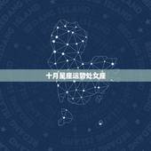 十月星座运势处女座，201410月星座运势水瓶座，处女座