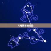 六月属猪的运势，2016年6月份属猪人的运势怎样