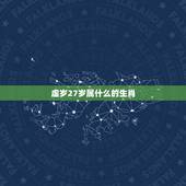 虚岁27岁属什么的生肖，今年虚岁27岁属什么生肖