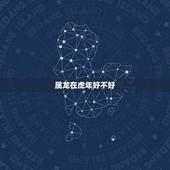 属龙在虎年好不好，龙遇虎年2022年怎么样