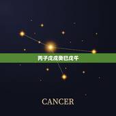 丙子戊戌癸巳戊午，丙戌乙未甲寅戊辰