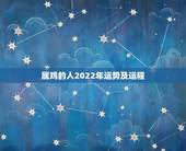 属鸡的人2022年运势及运程，1993年属鸡人在2021年的全年运势