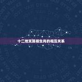 十二地支属相生肖的相互关系，十二生肖与十二地支的对应关系？