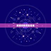 属猪的桃花劫是谁，猪的桃花劫是猴什么意思