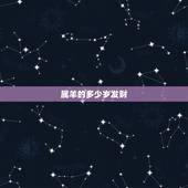 属羊的多少岁发财，1991年羊与1982年狗