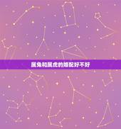 属兔和属虎的婚配好不好，属虎的与属兔的配婚好不好