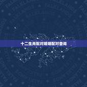 十二生肖配对婚姻配对查询，十二生肖更佳婚姻配对