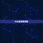 什么蛇是苦命蛇，属蛇的五行是什么命