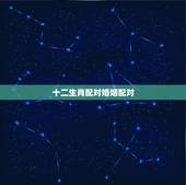 十二生肖配对婚姻配对，十二生肖属相婚姻相配