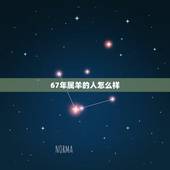 67年属羊的人怎么样，1967年属羊男一生运势