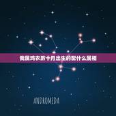 我属鸡农历十月出生的配什么属相，属鸡的十月出生好不好