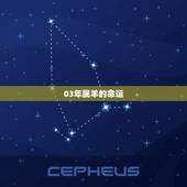 03年属羊的命运，03年柱羊刃是什么命