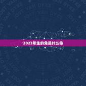 2023年生的兔是什么命，2024年是什么命