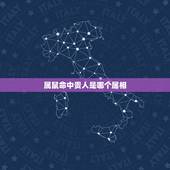 属鼠命中贵人是哪个属相，属鼠的人旺财事业桃花带什么属相生肖
