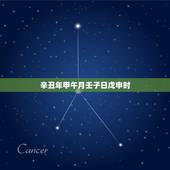 辛丑年甲午月壬子日戊申时，黄历辛丑年庚子月戊申日