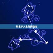 取名字大全免费查询，免费起名字大全
