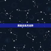 属鼠出生月运势，有关属鼠的运程