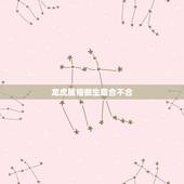 龙虎属相做生意合不合，属龙的和属虎一起做生意好吗