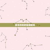属羊的和老鼠相配吗，属羊和属鼠的结合好不好